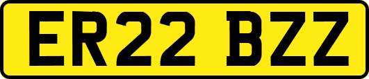 ER22BZZ