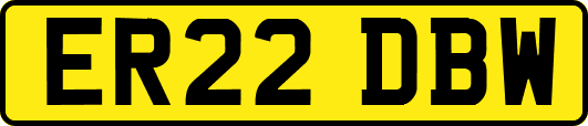 ER22DBW