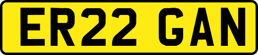 ER22GAN
