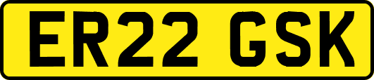 ER22GSK