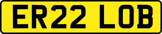 ER22LOB