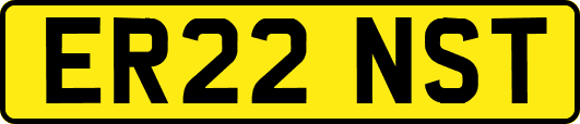 ER22NST
