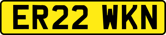 ER22WKN