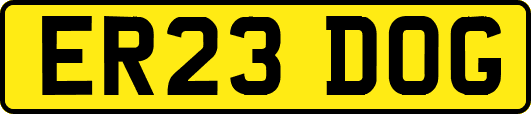 ER23DOG