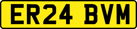 ER24BVM