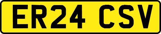 ER24CSV