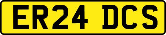 ER24DCS