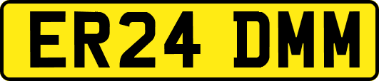 ER24DMM