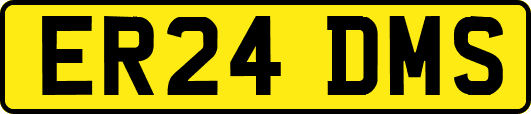 ER24DMS