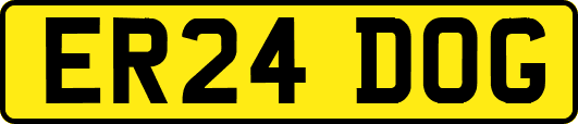 ER24DOG