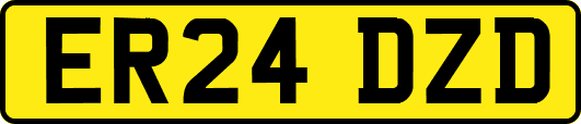 ER24DZD