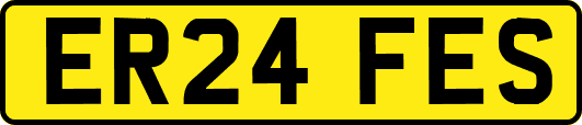 ER24FES
