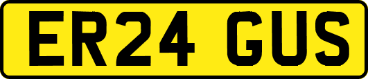 ER24GUS