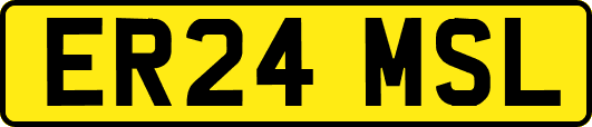 ER24MSL