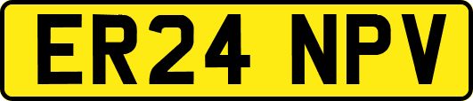 ER24NPV