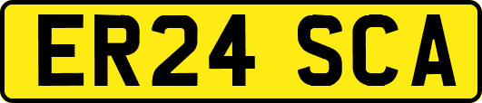 ER24SCA