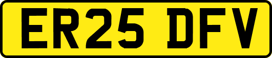 ER25DFV