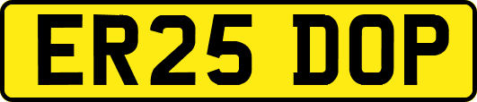 ER25DOP