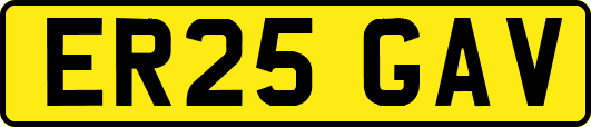 ER25GAV