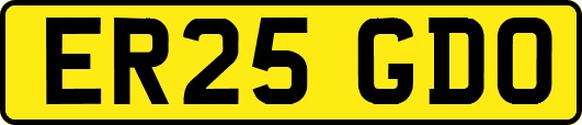 ER25GDO