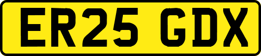 ER25GDX