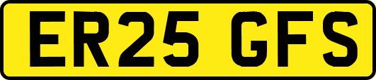 ER25GFS