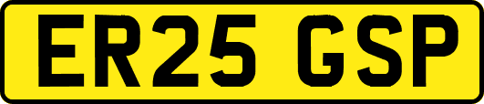 ER25GSP