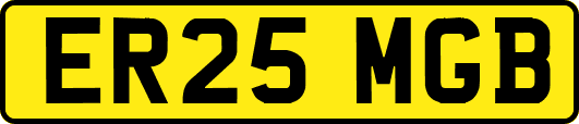 ER25MGB