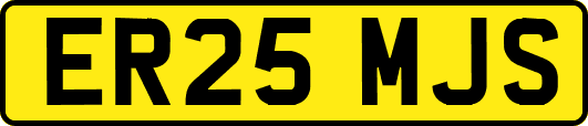 ER25MJS