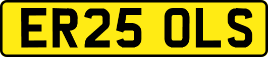 ER25OLS