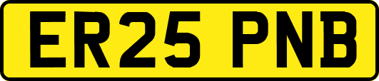 ER25PNB