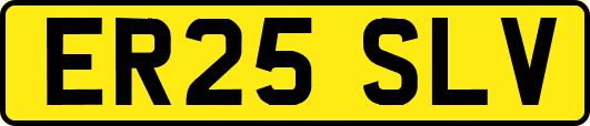 ER25SLV