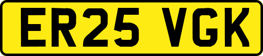 ER25VGK