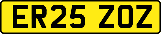 ER25ZOZ