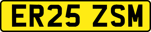 ER25ZSM