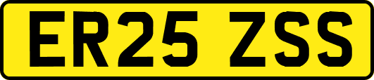 ER25ZSS