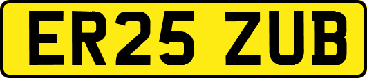ER25ZUB