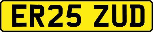 ER25ZUD