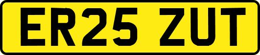 ER25ZUT