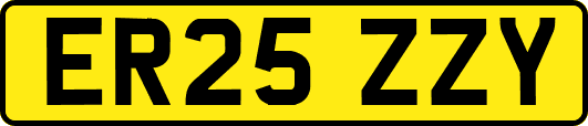 ER25ZZY
