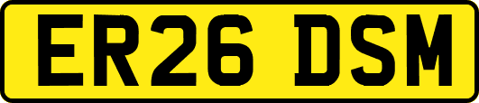 ER26DSM