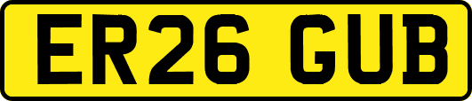 ER26GUB