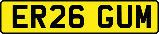 ER26GUM