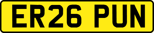 ER26PUN