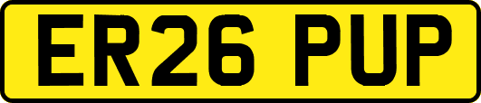 ER26PUP