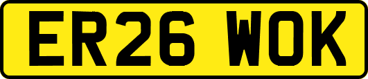 ER26WOK