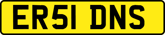 ER51DNS