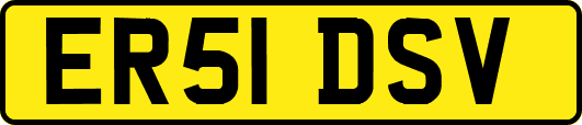 ER51DSV