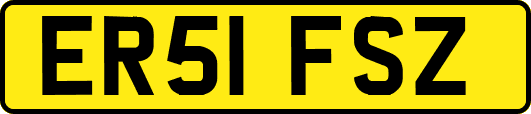 ER51FSZ