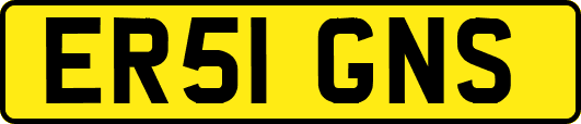 ER51GNS